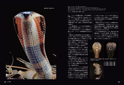 毒ヘビ全書