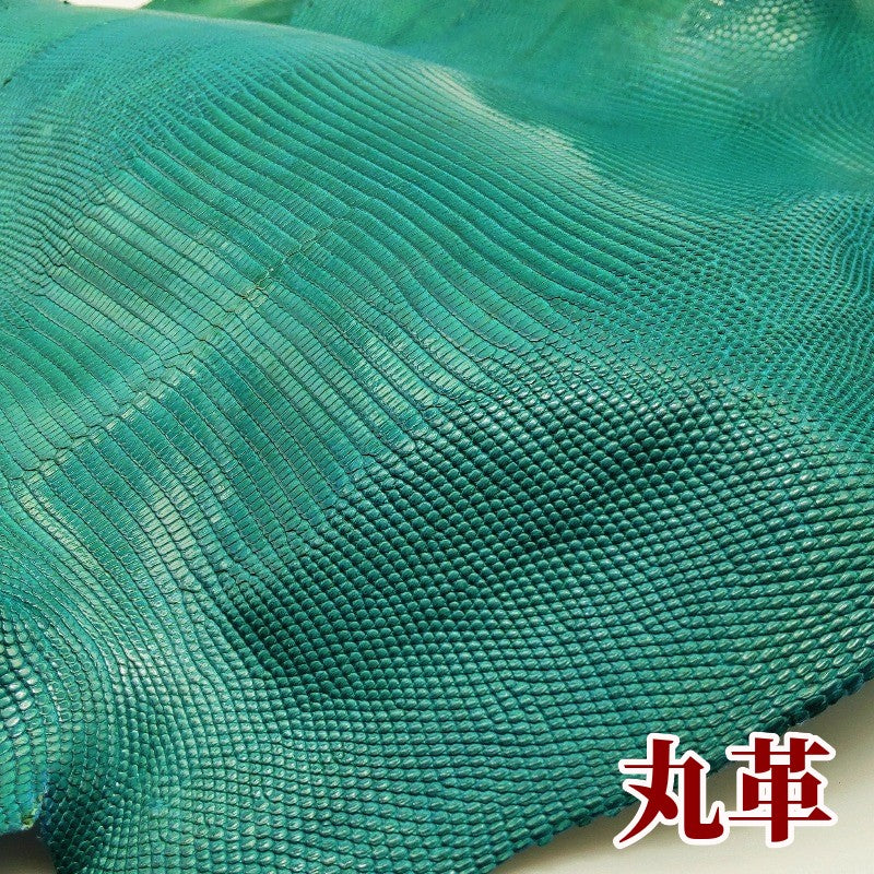 リザード革Lizard・ツヤあり、green/緑色の通信販売 – レザーマニア