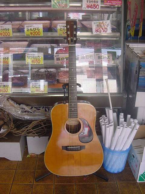 Fernandes W200