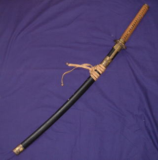 nikaigc1.jpg