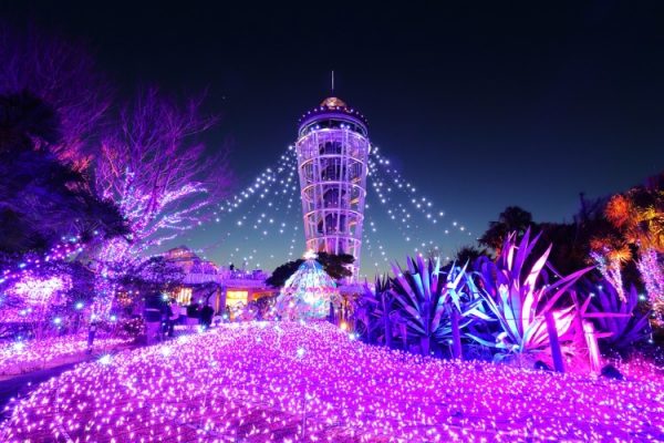 2025年11月27日「夜景サミット2025 in 藤沢」にて日本を代表する