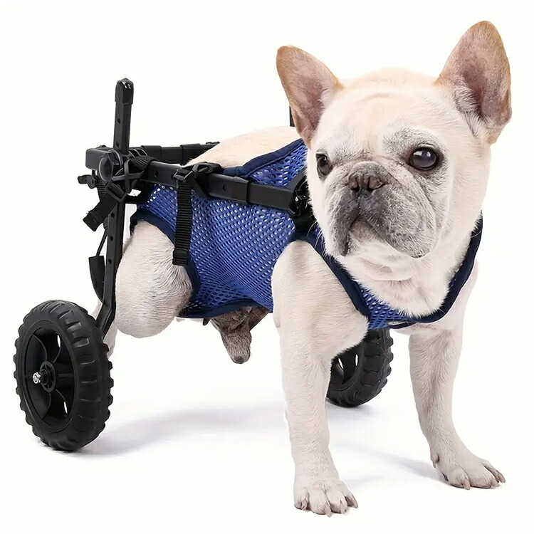 楽天市場】犬用車椅子 後ろ足用 XS S M 小型犬用 中型犬用 犬用歩行器