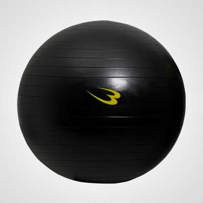 G*Y様 TECHNOGYM バランスボール ブラック2個セット G*Y様 TECHNOGYM