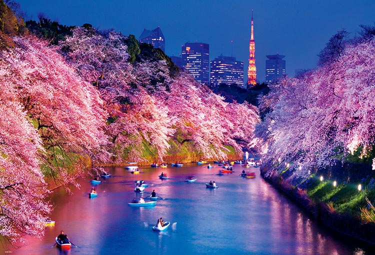 BEV-51-275 風景 千鳥ヶ淵の夜桜 1000ピース ［CP-SK］ ［CP-JS