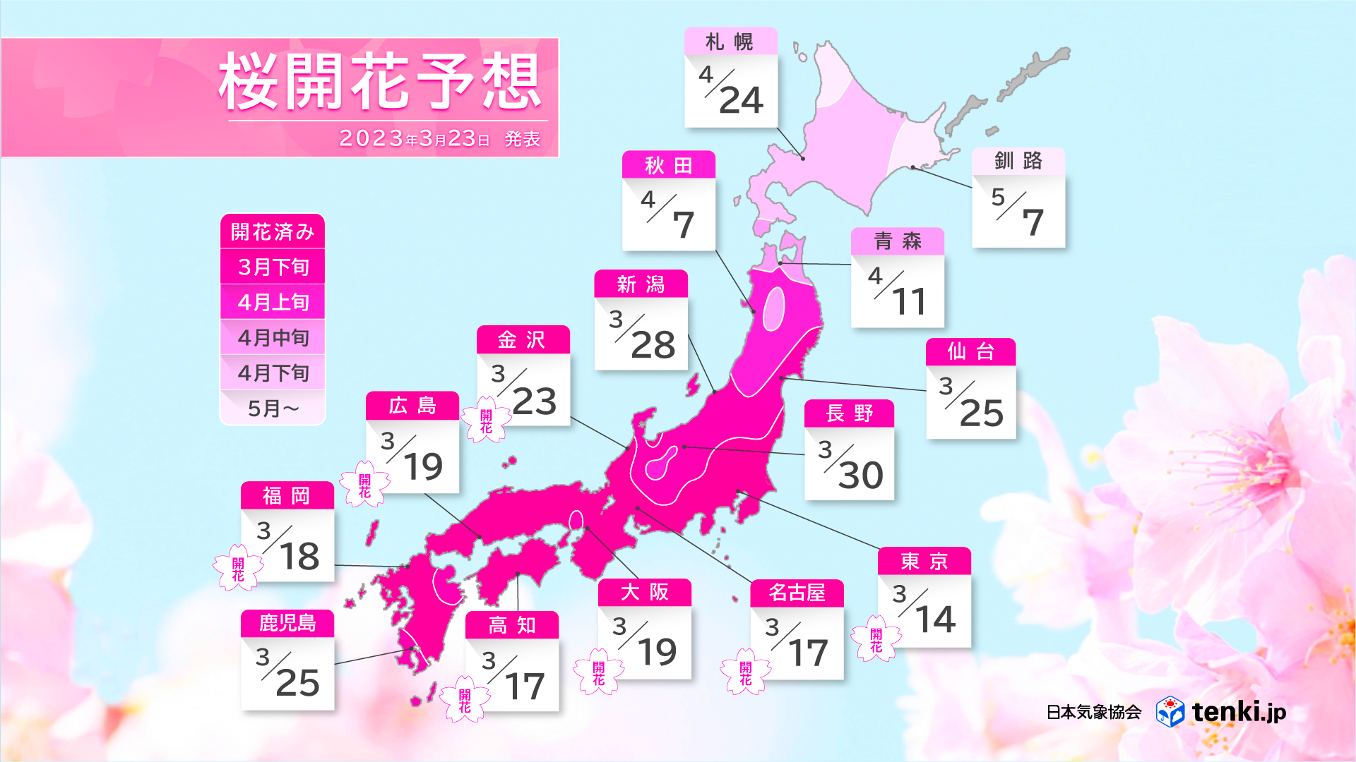 桜花ページ アイドル的には多分7枚目みたいな写真をメインにした方が良かったんだ