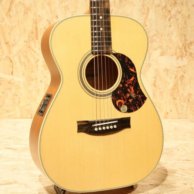 EBG808TE Tommy Emmanuel Signature: アコースティックギター｜三木