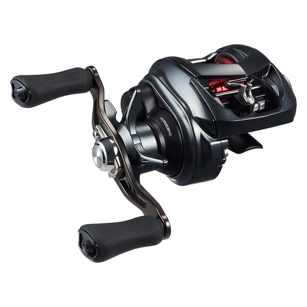 ダイワ(Daiwa) 26TATULA(タトゥーラ) BF TW 8.1R 右巻き 00630136