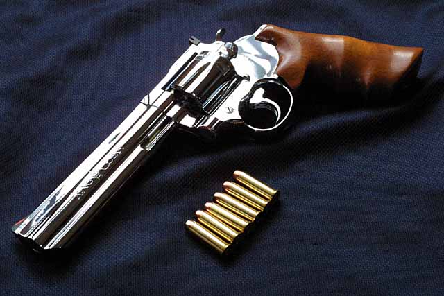 GUN