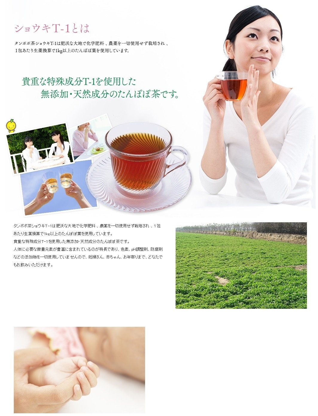 ショウキT-1プラスEX 50ml×30包 ショウキT-1 PLUS EX | 和漢さくら健煌