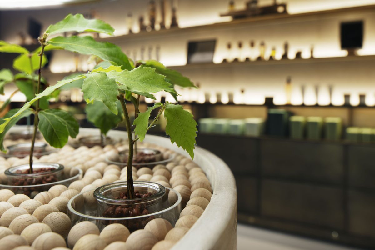 1本7000円の化粧水がZ世代に売れる理由。資生堂「BAUM」に見るヒットの