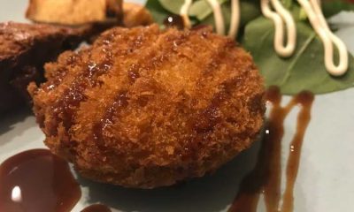 書籍「動物のいのち」 - Hachidory 動物にやさしく、持続可能な未来を
