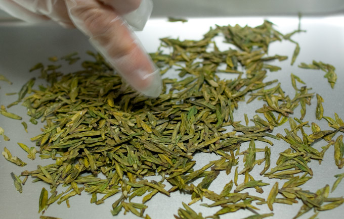 獅峰龍井 : 中国緑茶 : 高級茶葉・和製手作り茶器専門店HOJO