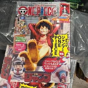 One Piece Magazine | eBay