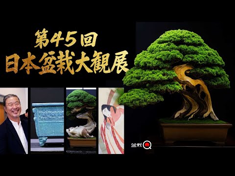 The 45th Japan Bonsai Taikan Exhibition! We covered the behind-the