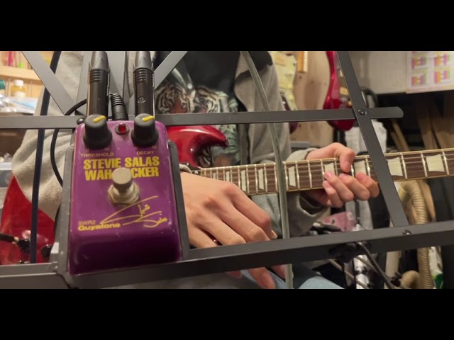 ギター GUYATONE STEVE SALAS WAH ROCKER Guyatone Stevie Salas Wah