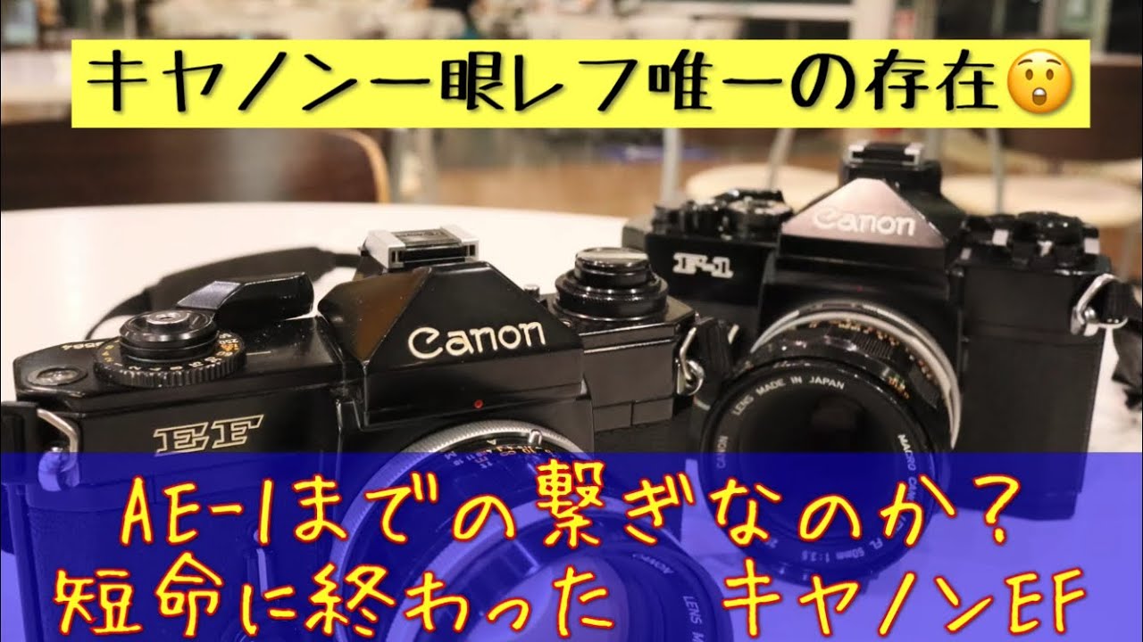 hq720.jpg?sqp=-