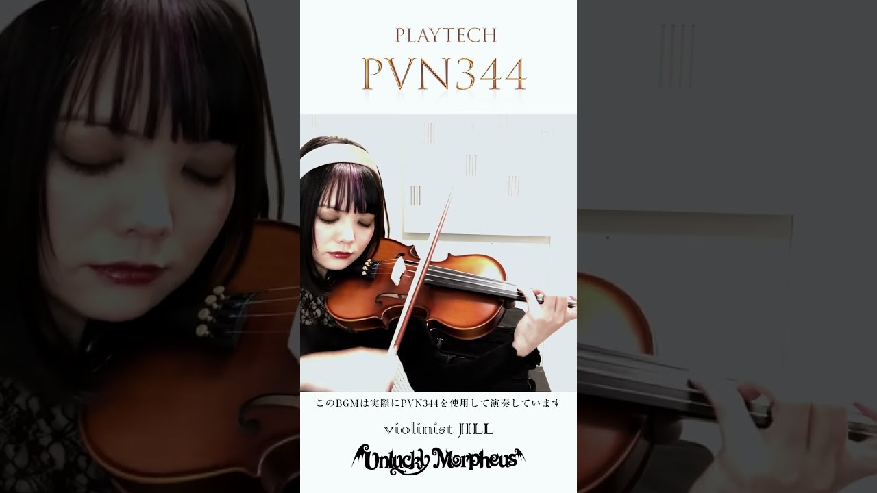 PLAYTECH / PVN344 バイオリン 4/4 #サウンドハウス #PLAYTECH‬