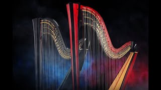 お知らせ | Salvi Harps Japan | サルヴィハープ 日本公式
