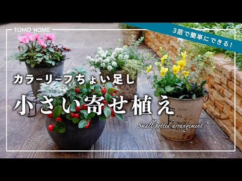 Super easy with just 3 seedlings!] I made 4 flower arrangements