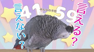 Can Zu-chan say 