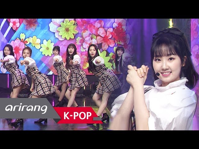 SHA SHA プロフィール | K-POP 韓流ドラマ
