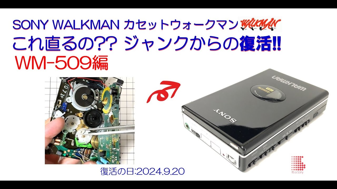 hq720.jpg?sqp=-