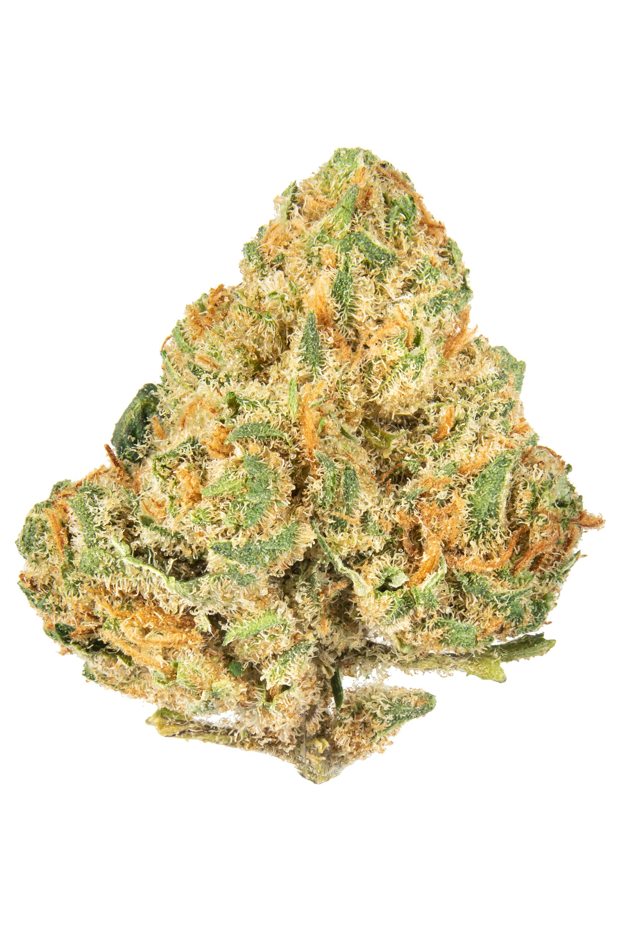 Alien-Og-1.jpg