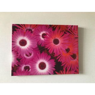 Francfranc（絵画/タペストリー）のフリマアイテム一覧