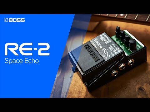 Boss RE-2 | The Pedal Zone