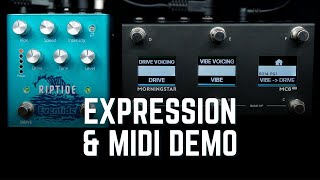 EVENTIDE ( イーブンタイド ) Riptide 送料無料 | サウンドハウス