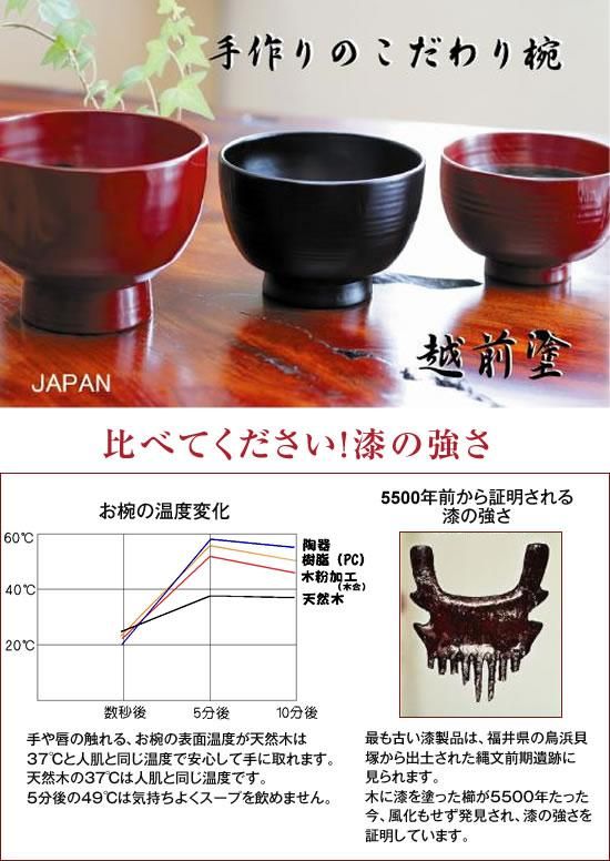 越前漆器 木製飯椀 漆塗り飯椀 伝統工芸士が塗るお椀 軽くて丈夫なお椀