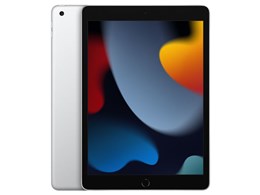 ipad 11世代 256」の人気商品一覧 | 安い商品を通販サイトから探す