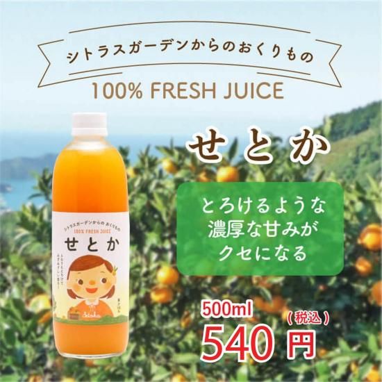 せとかジュース ストレート果汁 500ml シトラスガーデンからのおくり
