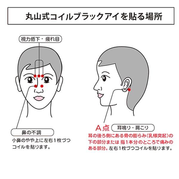 電磁波 対策 丸山式コイル ブラックアイ 6個セット 貼り替えシール30枚