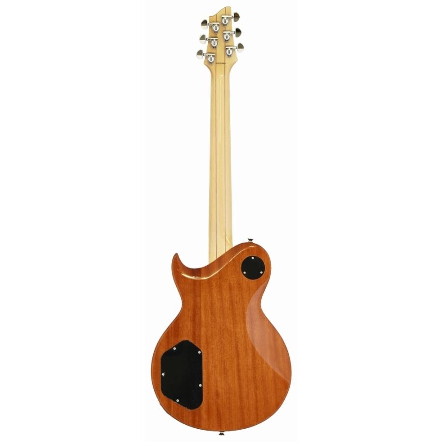 Aria Proll AriaProII PE-480 SBKB PEシリーズ キルトメイプルトップ