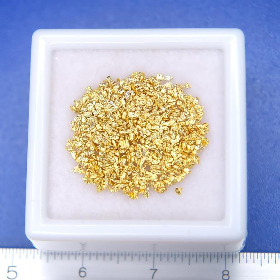 砂金 自然金 本物です 1.0gram ケース付き 標本 サンプル 鉱物の勉強