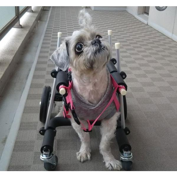 犬用車椅子 歩行器 小型犬用 オーダーメイド 4輪 室内 歩行補助 老犬