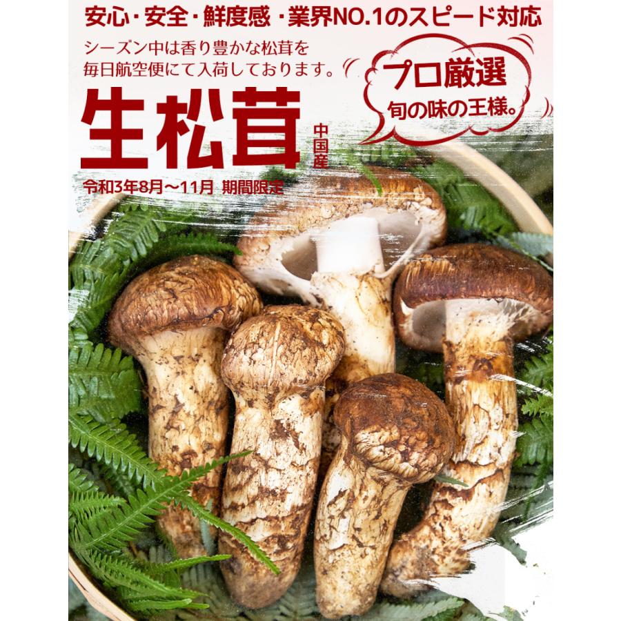 生松茸 訳あり 約500g＜開き方・大きさおまかせ＞空輸 中国産 厳選