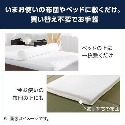 トゥルースリーパー（True Sleeper） プレミアム クイーン 送料無料
