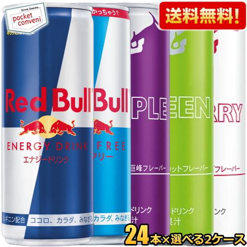 レッドブル（RedBull） 送料無料 エナジードリンク 250ml缶 48本(24本