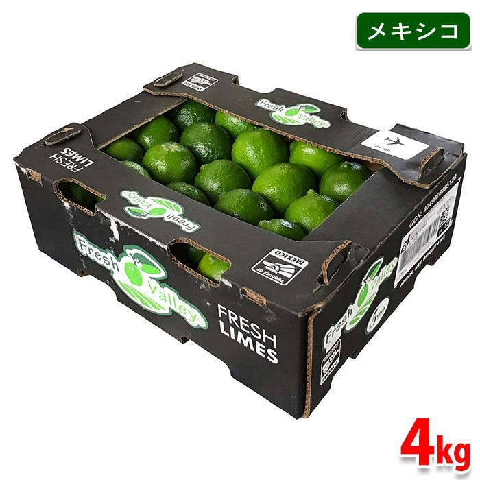 メキシコ産 ライム LIMON PERSA （リモン・ペルサ） 4kg （約40〜44玉
