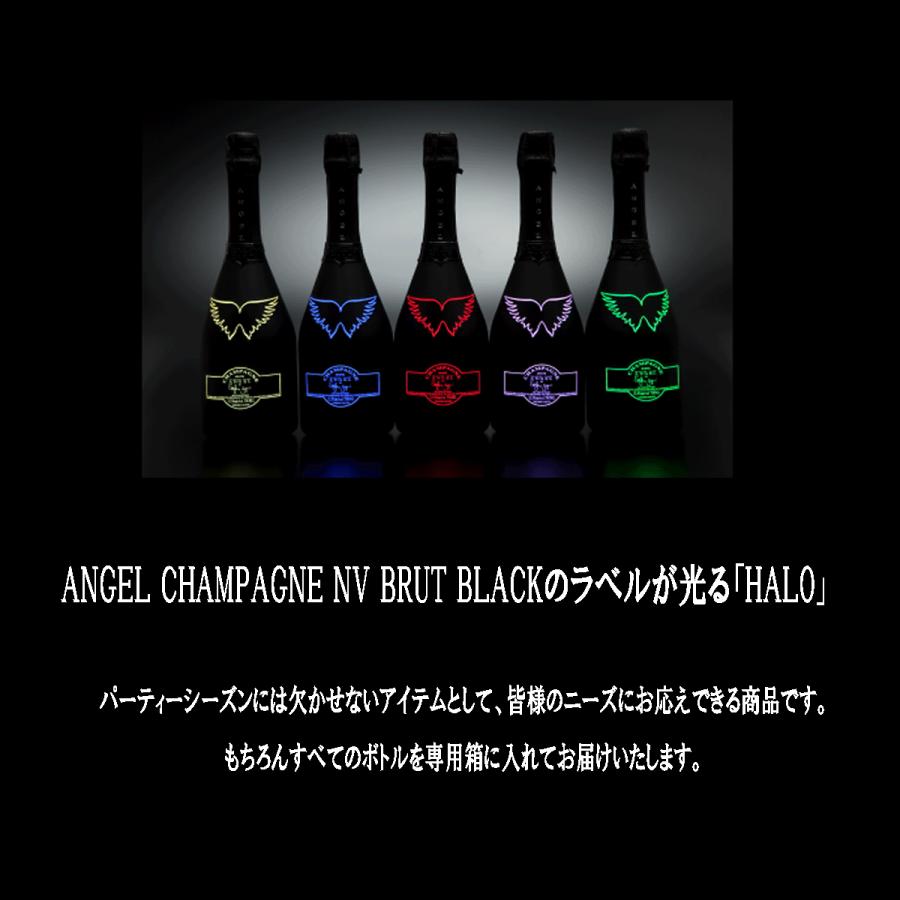 エンジェル シャンパン ブリュット ヘイロー グリーン 箱付き 正規品