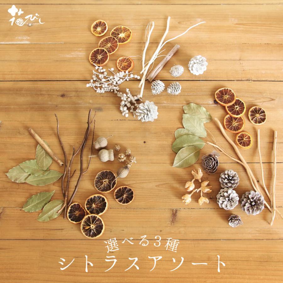 ドライフラワー 花材 即日出荷 FMシトラスアソート 素材 材料 パーツ