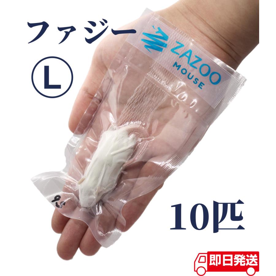 ZAZOO 国産 冷凍マウス ファジーマウス L 8〜10g 約5.5cm 真空 個別