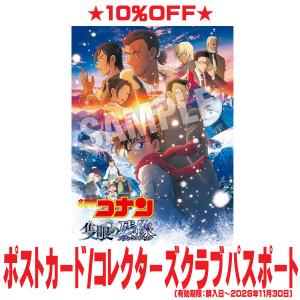 劇場版 名探偵コナン 隻眼の残像（フラッシュバック）通常盤 DVD 〔DVD