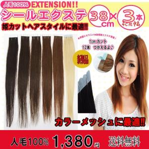 シールエクステ 人毛100% 38cm 6本セット（1本約2.4g） sl-039