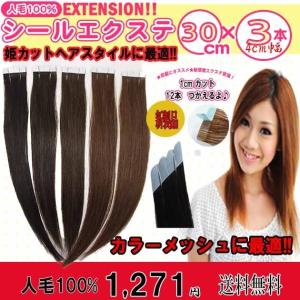 シールエクステ 人毛100% 38cm 6本セット（1本約2.4g） sl-039