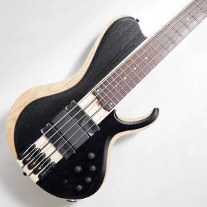 NeotenicSound ベース用プリアンプシステム DynaForce : 楽器のこと