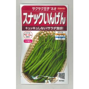SK9-099 ブロッコリー種子 ペレット5000粒 【野菜種子】【サカタのタネ