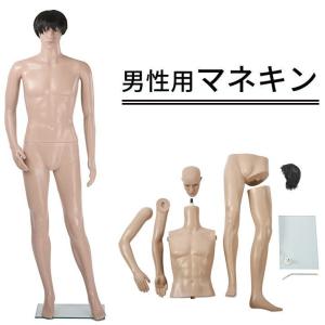 ストア・エキスプレス マネキン トルソー メンズ 男性_全身腰受け
